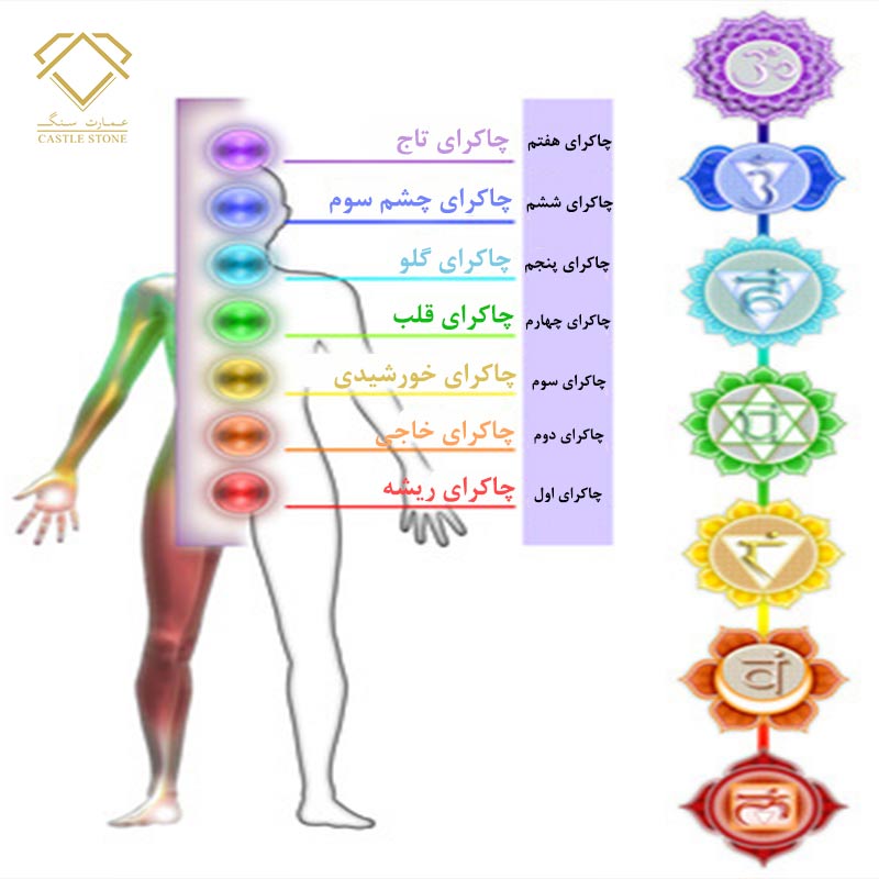 هفت چاکرای اصلی بدن به همراه جایگاه و نام که با رنگ مشخص شده اند در تصویر آمده است. 